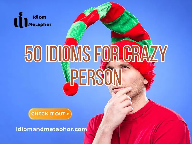 Idioms For Crazy Person