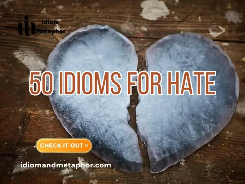 Idioms For Hate