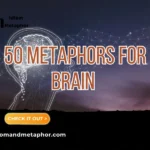 Metaphors For Brain