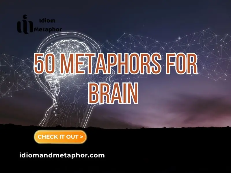 Metaphors For Brain