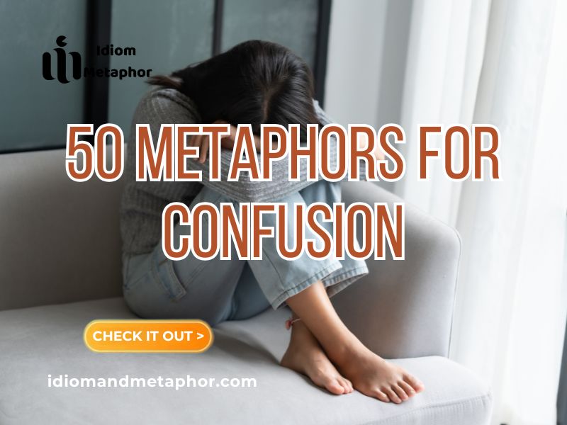 Metaphors For Confusion