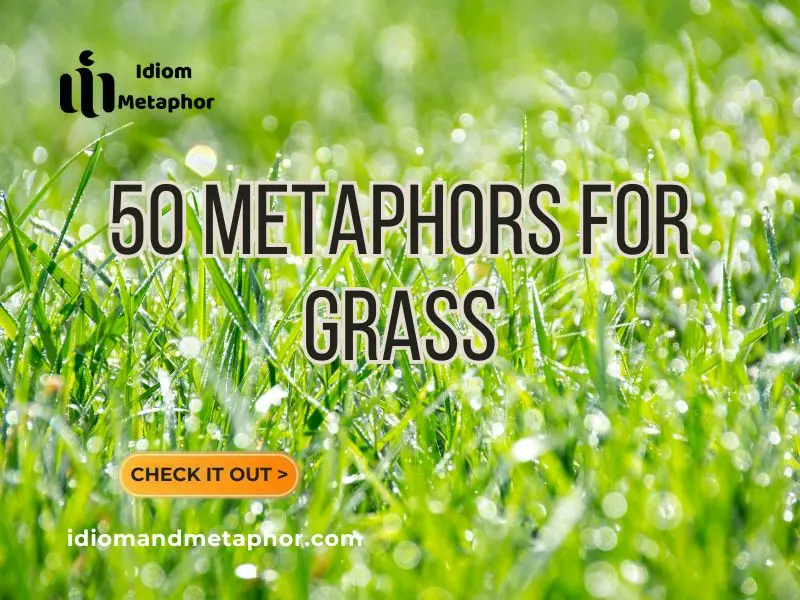 Metaphors For Grass