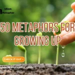 Metaphors For Growing Up