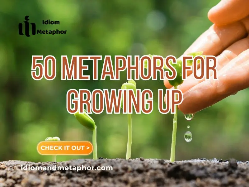 Metaphors For Growing Up