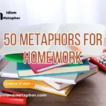 Metaphors For Homework