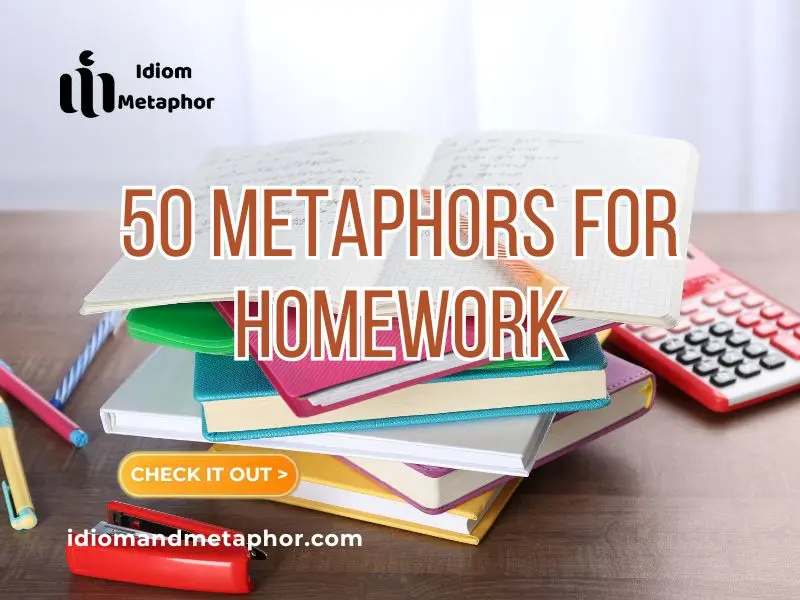 Metaphors For Homework