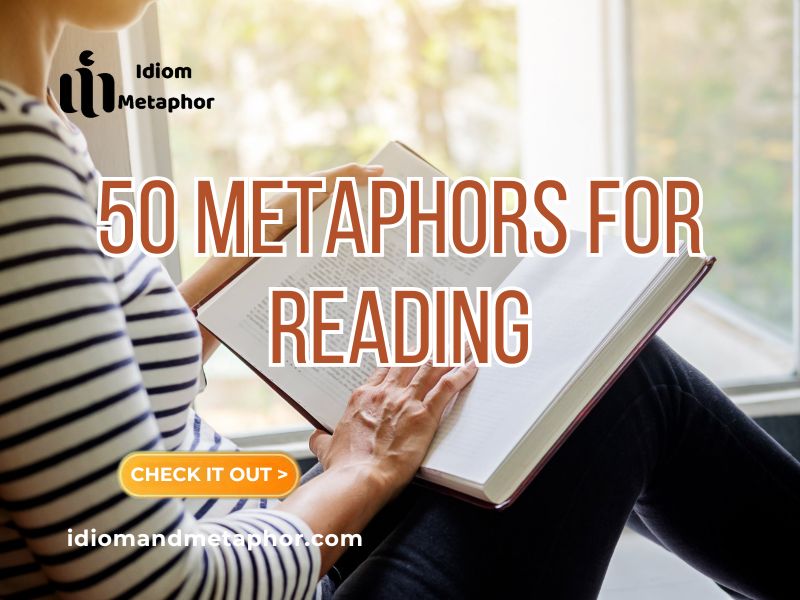 Metaphors For Reading