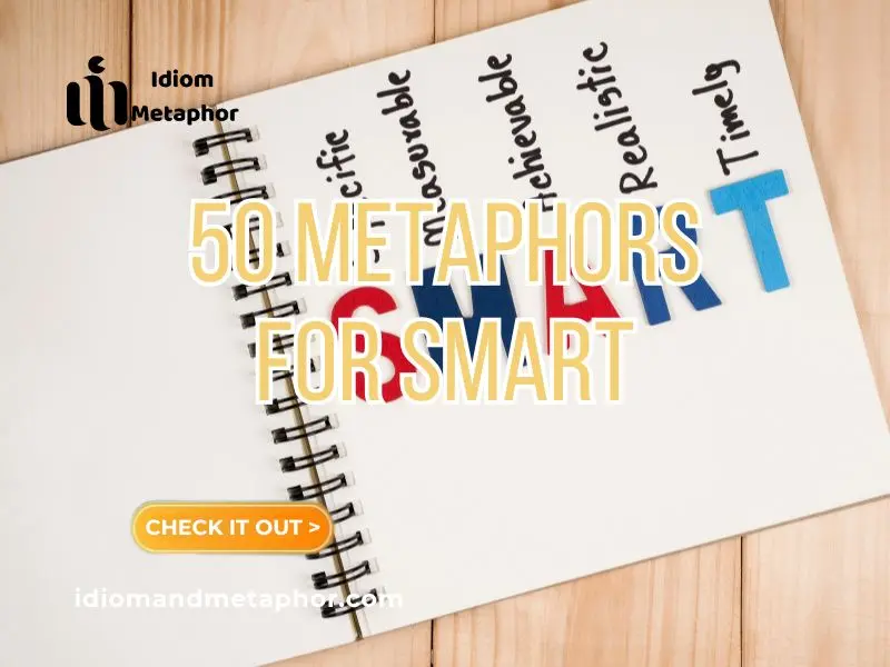 Metaphors For Smart