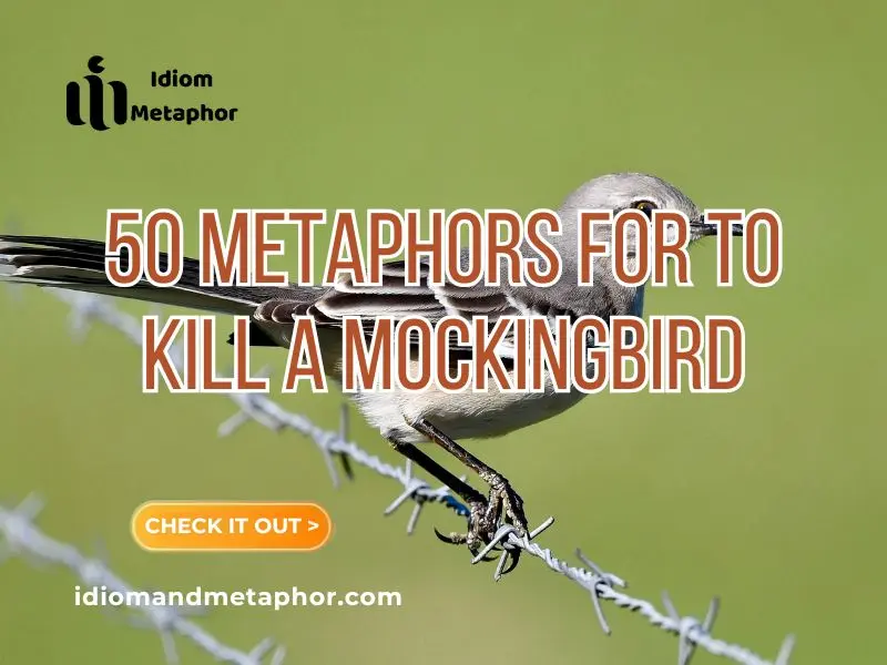 Metaphors For To Kill A Mockingbird
