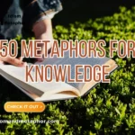 Metaphors For Knowledge