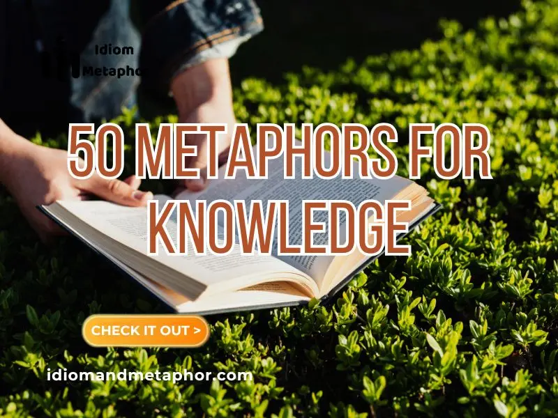 Metaphors For Knowledge
