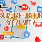Metaphors For Social Media