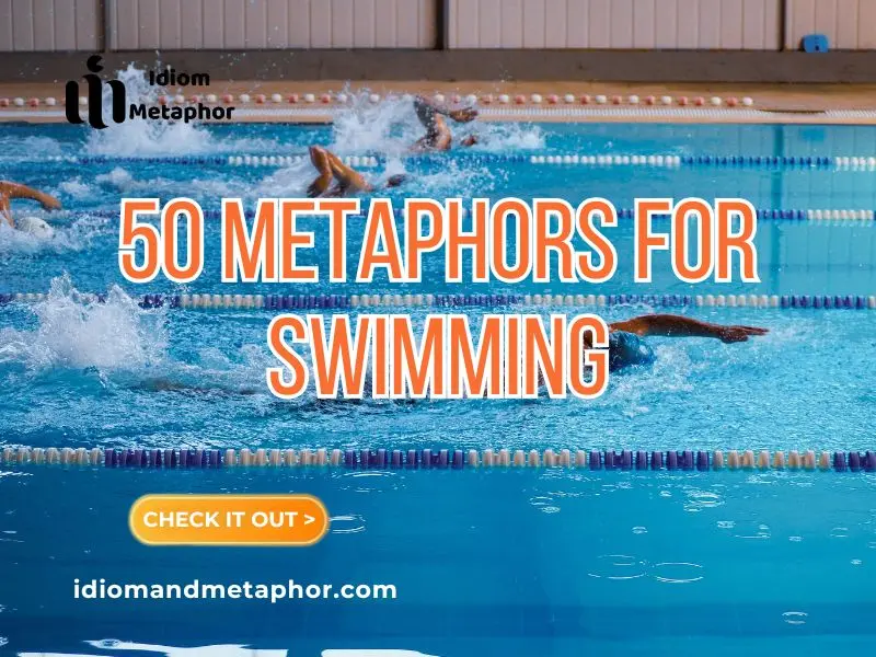 Metaphors For Swimming