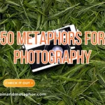 Metaphors For Photography