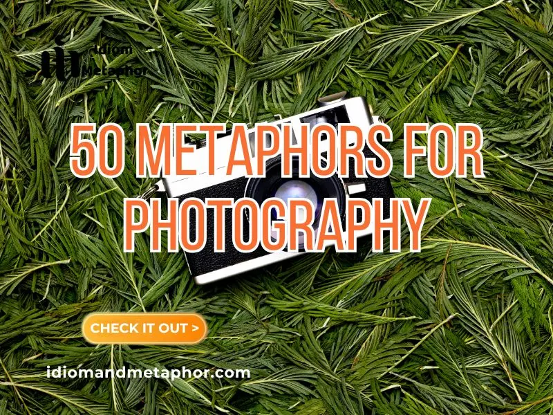 Metaphors For Photography
